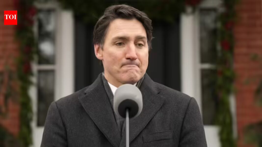 'I cleaned washrooms to get where I am': Indian-origin entrepreneur says Trudeau's immigration policies brought 'worst criminals' to Canada