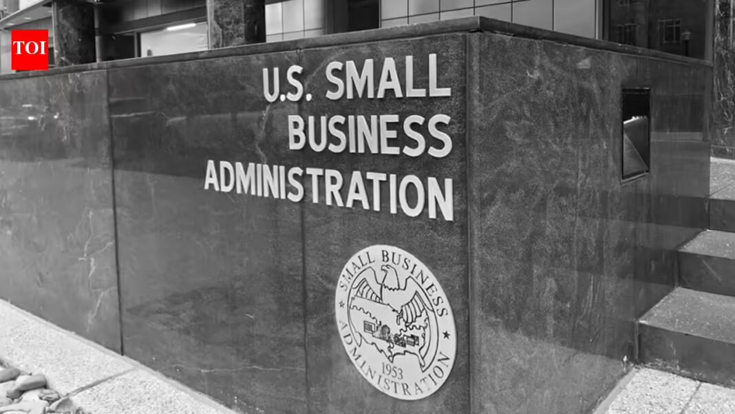 'We're going state-by-state': SBA chief announces nationwide crackdown on fraud in federal programmes