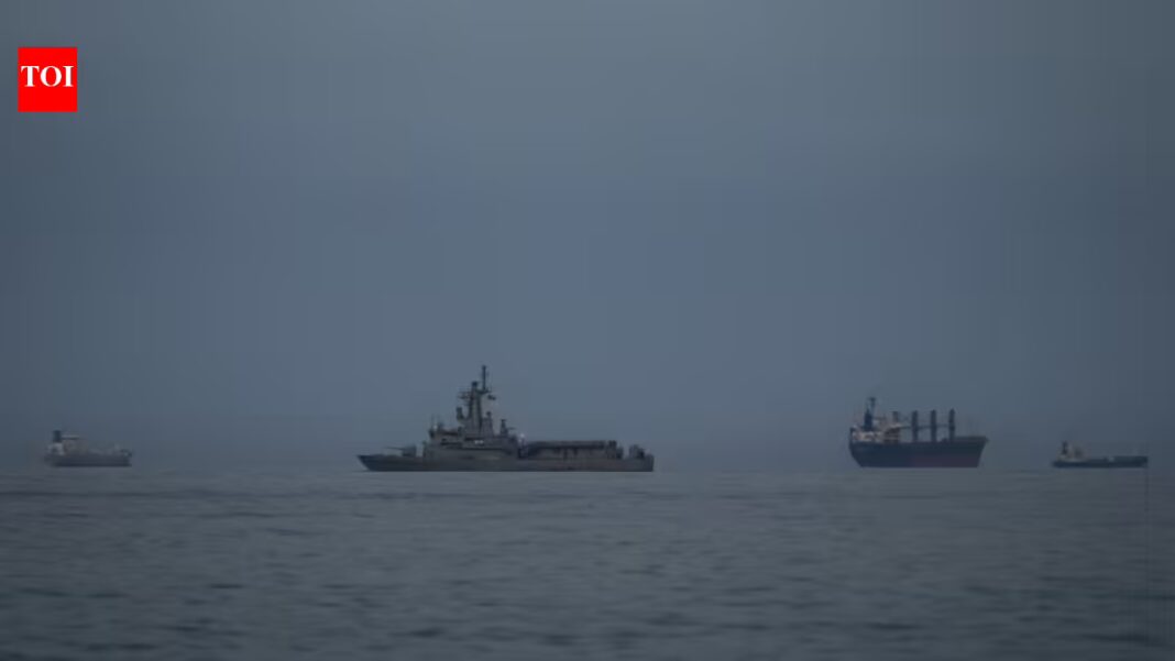 Iran considers allowing oil tankers to pass through the Strait of Hormuz - but there is a condition