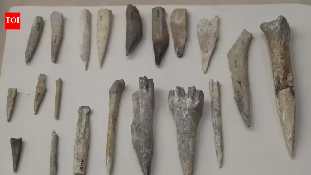 Saudi Arabia: Saudi News: 13,500-year-old settlement found in Nefud Desert, 190km trade links stun archaeologists | World News