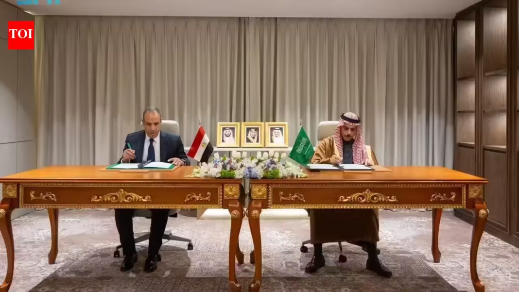 Saudi Arabia, Egypt sign deal to waive short-stay visas for official passport holders | World News