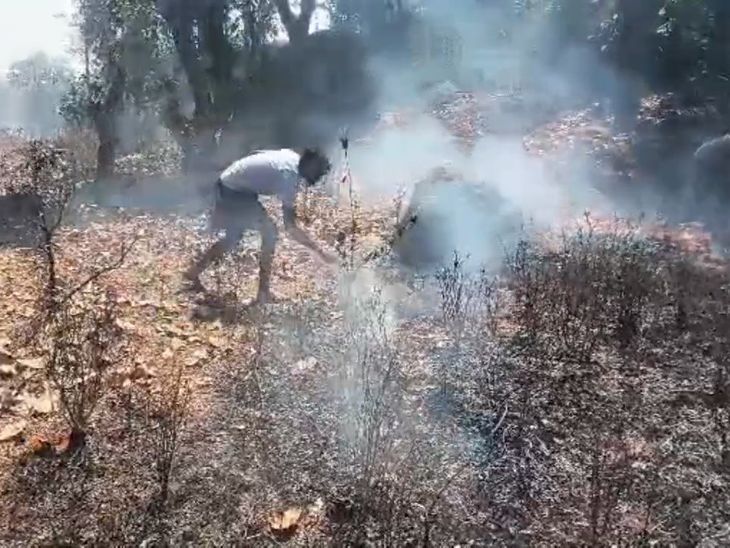 गुमला के बनई जंगल में लगी आग:महुआ चुनने के लिए आग लगाने की आशंका, जंगल को भारी नुकसान का अनुमान