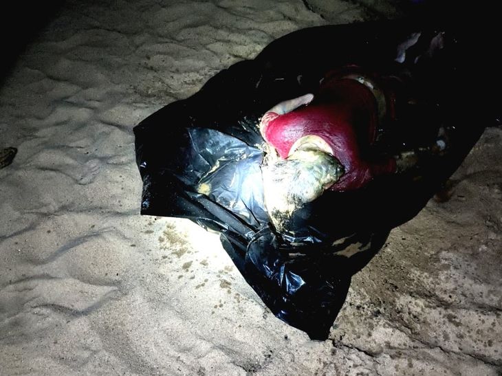 पलामू में सोन नदी तट पर महिला का शव मिला:हत्या कर बालू में लाश दबाने की आशंका, नहीं हो सकी मृतका की पहचान