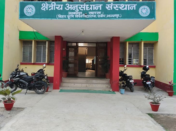 सहरसा में 3 दिन मौसम साफ और शुष्क:तापमान 31°C तक, बारिश की संभावना नहीं; किसानों को सिंचाई और फसल देखभाल की सलाह
