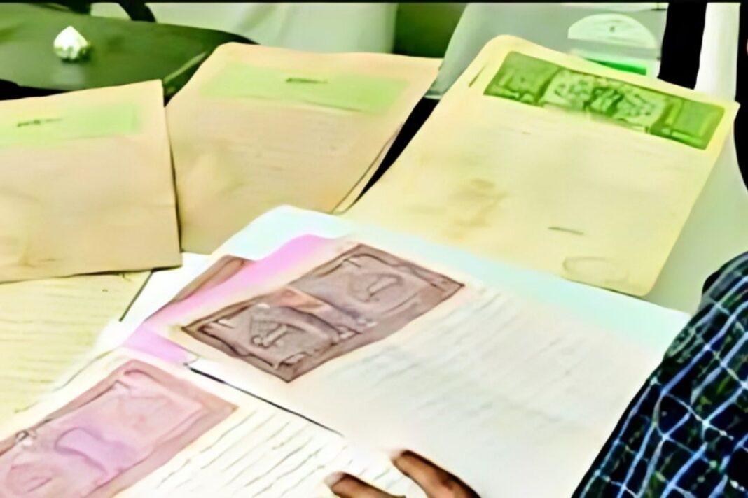 पहाड़ों पर मैगी बेचकर होती है कितनी कमाई? युवक ने गल्ला दिखाया तो नौकरी वालों के खड़े हो गए कान