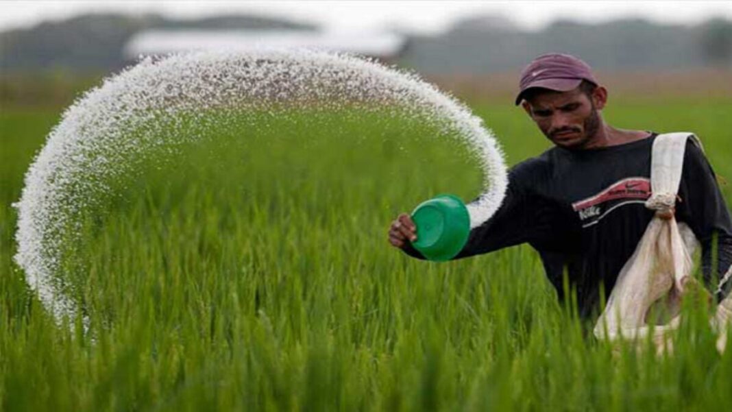 Fertilizers 2.jpg