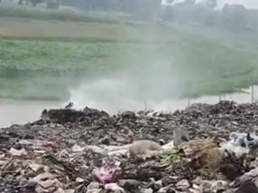 भागलपुर के कचरे के ढेर में लगी आग:धुएं से राहगीर-रोजेदार परेशान, स्थानीय ने की निगम से कार्रवाई की मांग