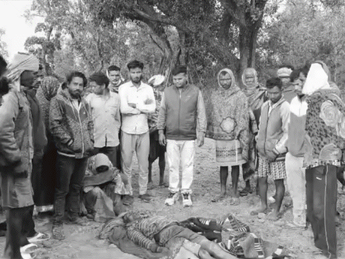 लातेहार में जंगली हाथी के हमले से वृद्ध की मौत:पत्नी ने कहा-रात में हाथी ने पटक कर मार डाला, वन विभाग ने दी सहायता राशि