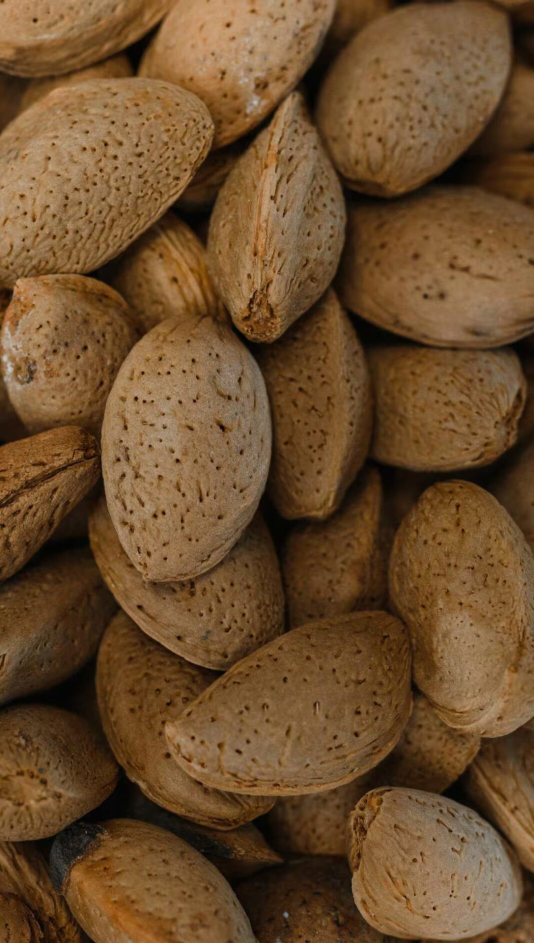 बादाम का हलवा कैसे बनाते हैं?