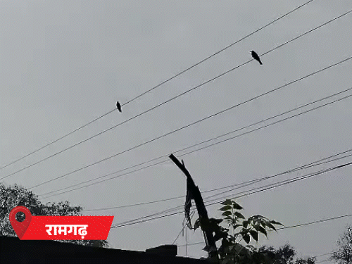 21 मार्च तक बदला रहेगा मौसम का मिजाज:झारखंड में आज भी वज्रपात-तेज हवाओं का अलर्ट, 50 km/h तक रहेगी हवा की रफ्तार
