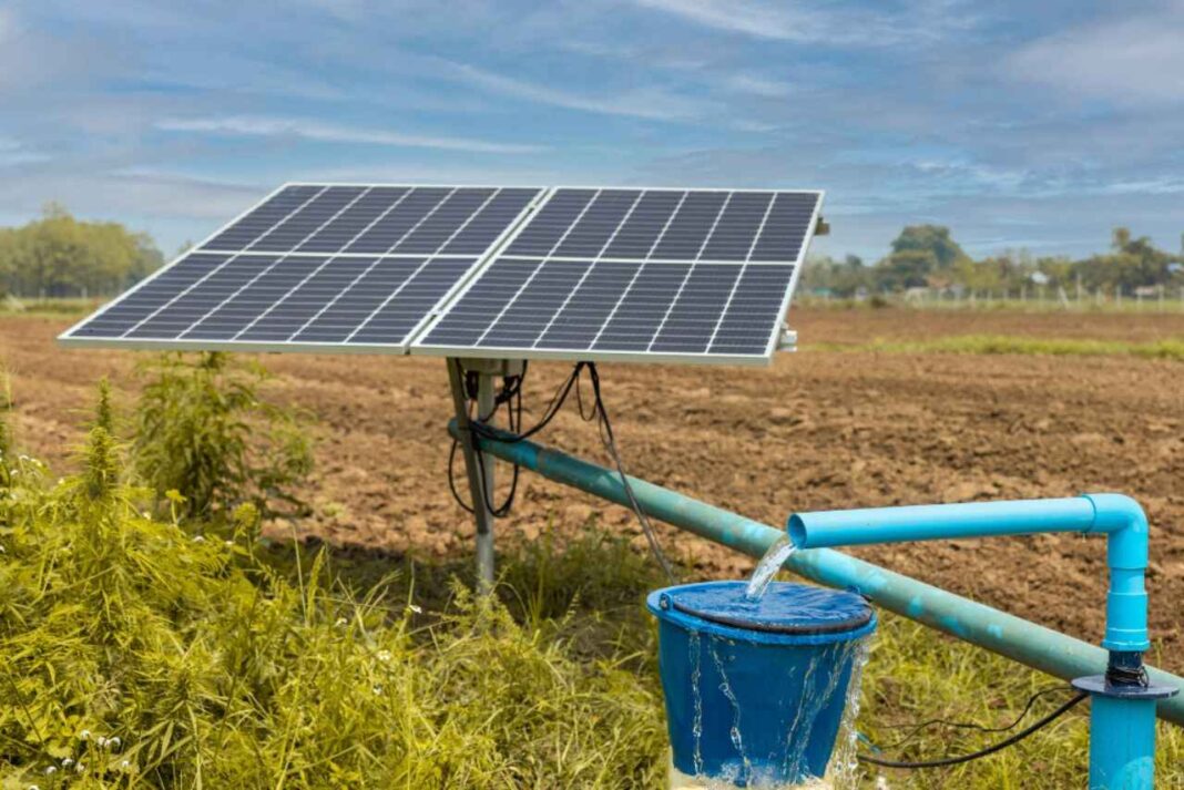 Oswal Pumps and 2 other stocks in focus after securing an order worth ₹73 Cr Solar pump 3 1.jpg