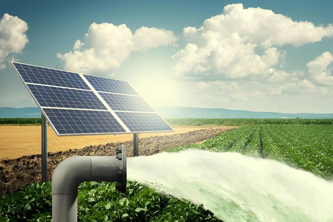Solar pumps 1.jpg