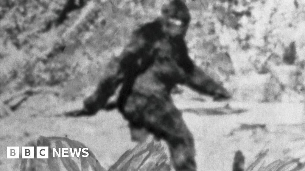 Researchers spent years interviewing 160 Bigfoot hunters – this is what they learnt 413b8b00 2f26 11f1 a425 47721dfc6207.jpg