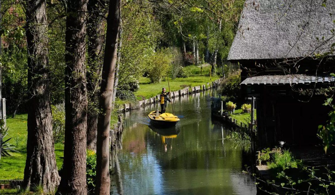 APTOPIX Germany Daily Life 5275 c0 346 8288 5180 s1200x700.jpg