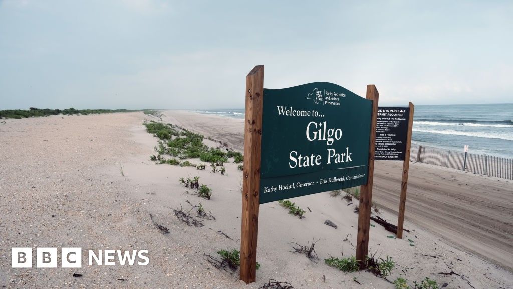 Bcff58d0 34fc 11f1 8606 05fe34b06e1b.jpg