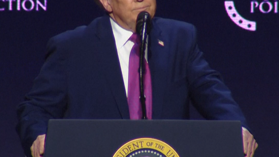 Clean wide thumb Donald Trump brilliant day 1776473647.png