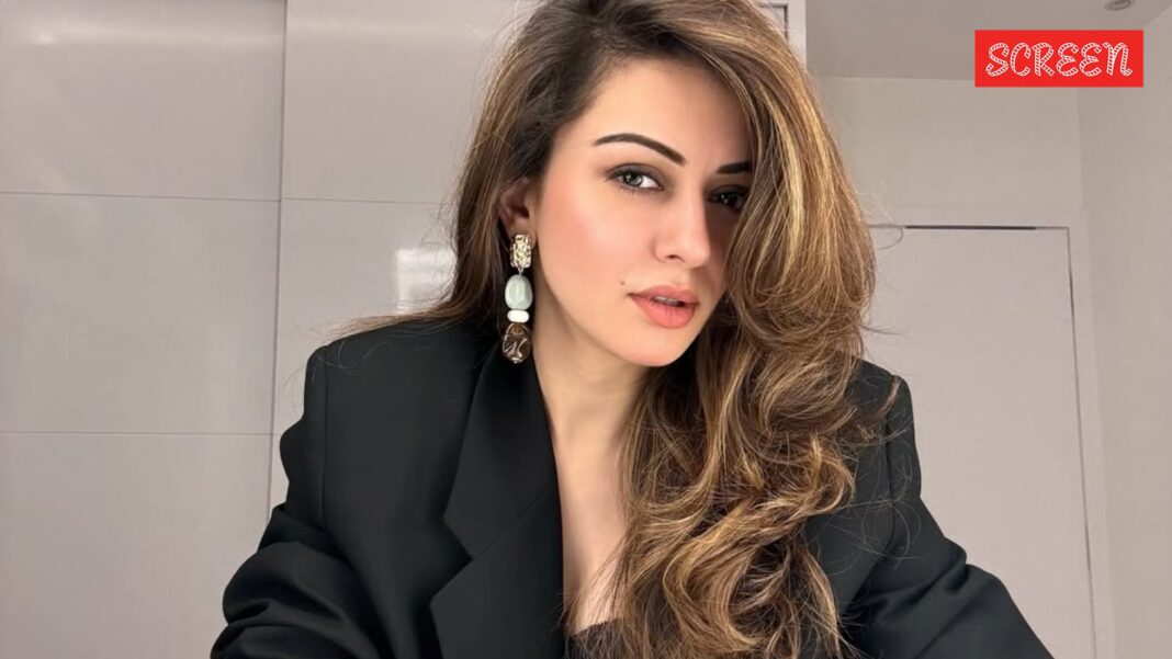 ‘No regrets’: Hansika Motwani on divorce, facing a ‘dark’ phase after separation from Sohael Khaturiya | Bollywood News