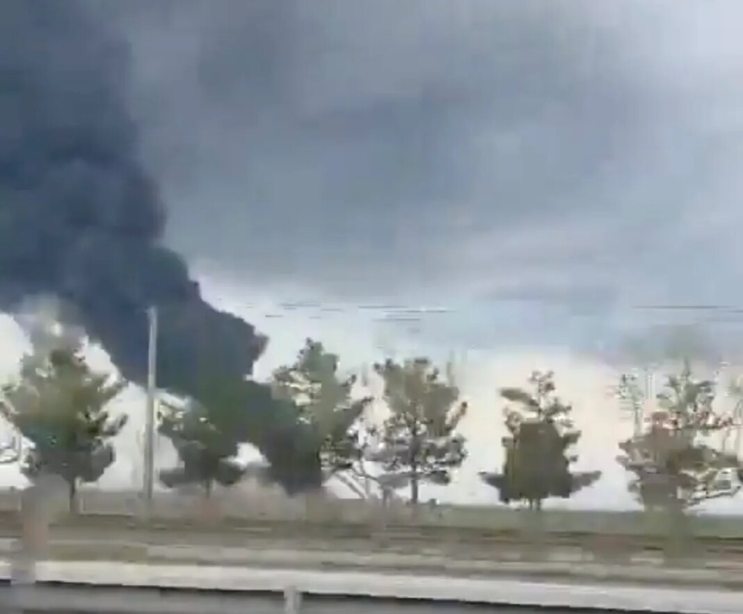 Image 1775131870.jpg