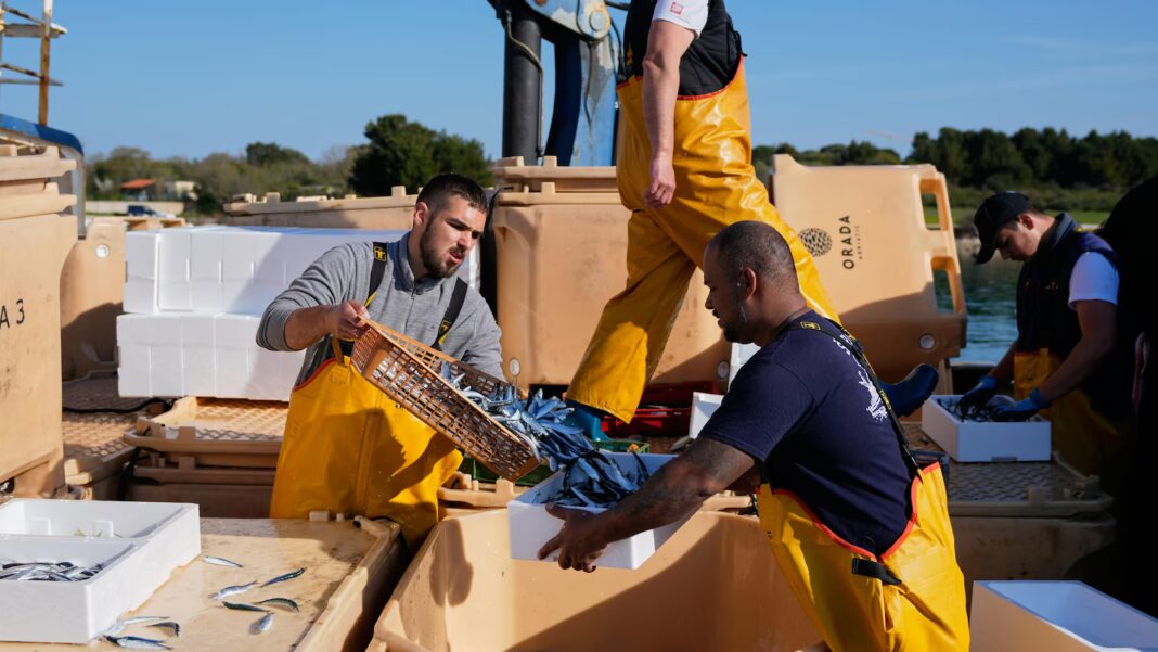 Wirestory 04e7aa974513232d01a42f3d8279b4ce 16x9.jpg