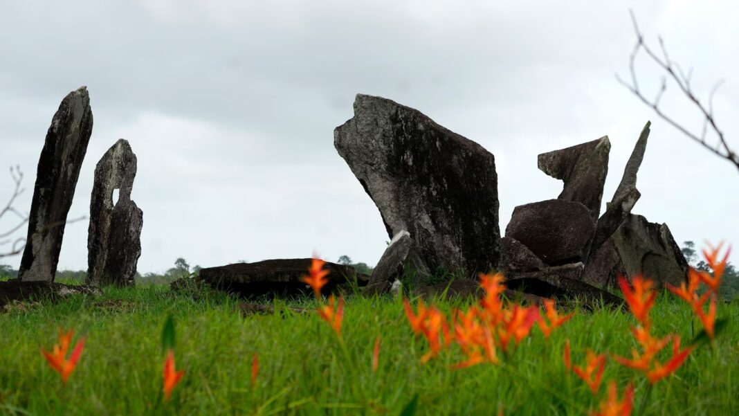 Wirestory 52398ff337fa6f85873afd8576b4ecd6 16x9.jpg