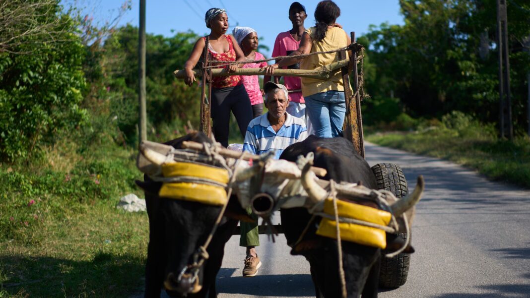 Wirestory 82881e367d0934d92c632791bbfa28f0 16x9.jpg