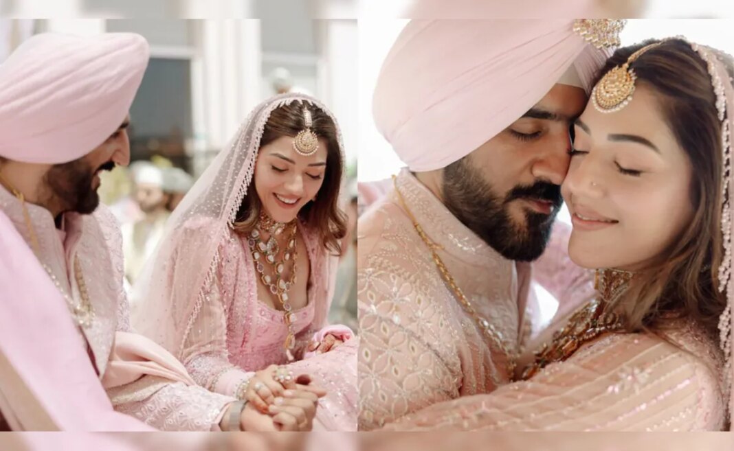 F2 Actress Mehreen Pirzada Marries Arsh Aulakh. See Pics