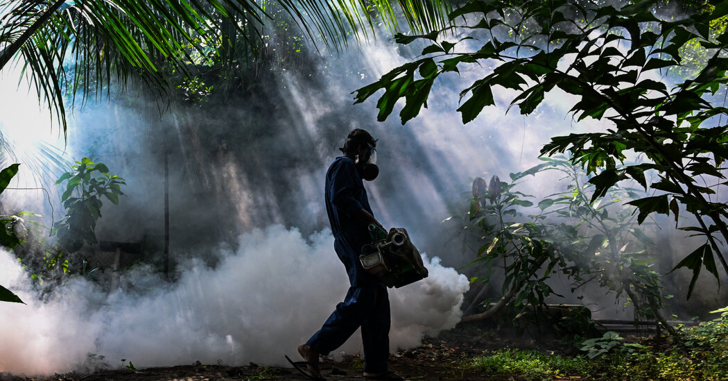26int srilanka dengue btvg facebookJumbo.jpg