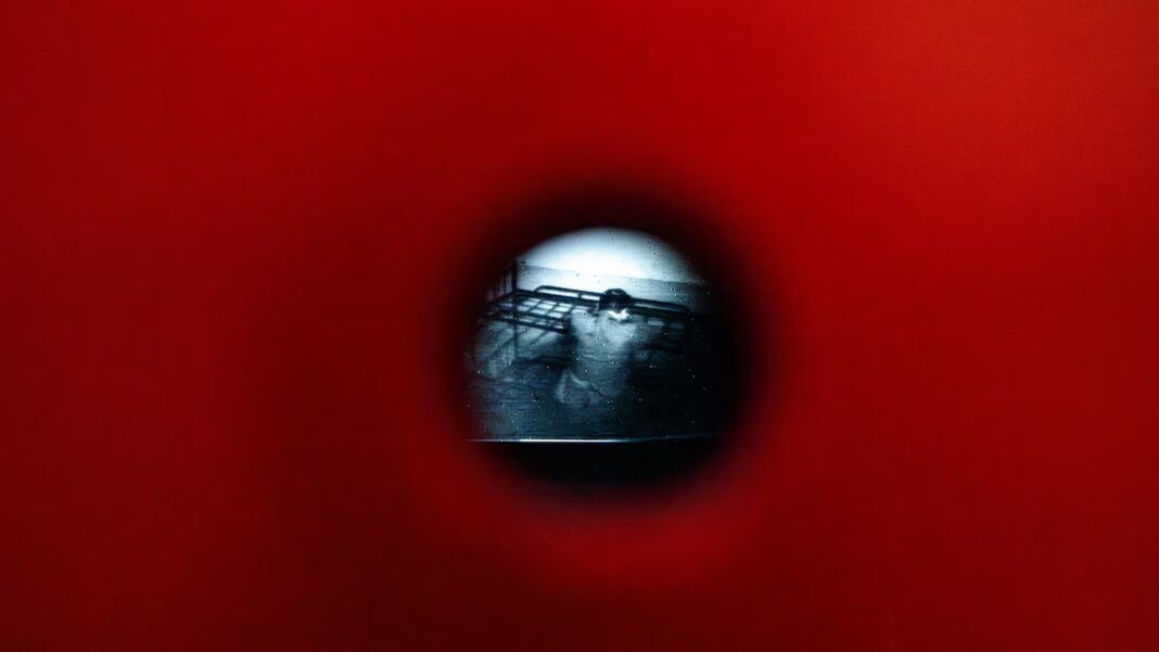 A chilling Romanian exhibition replays videotaped secret police interrogations from 1989