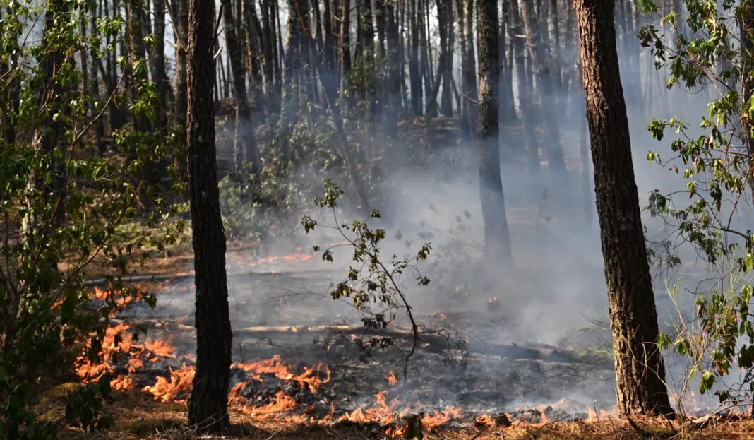 France Wildfires 47921 c0 160 3842 2401 s1200x700.jpg