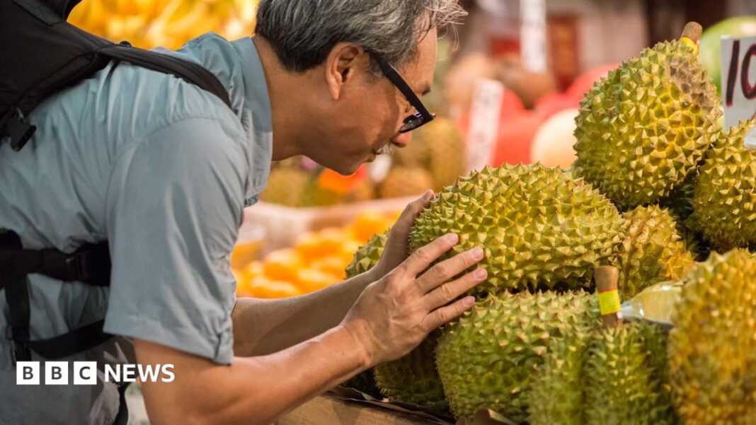 ‘Durian tsunami’: Prices plunge as oversupply hits Malaysia