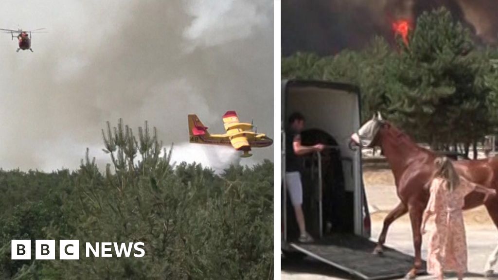 France: Horses evacuated as fire approaches riding centre near Paris