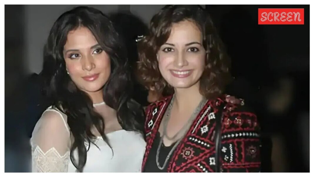 Richa Chadha slams trolls for attacking Dia Mirza over son’s plastic remarks | Bollywood News