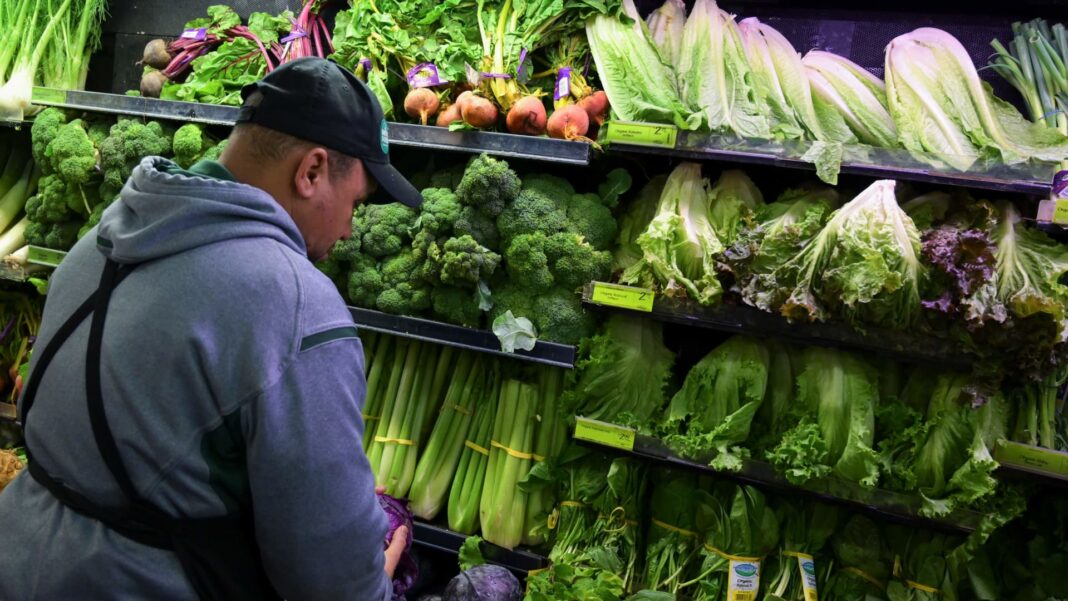 Lettuce prices see record-setting plunge amid cyclospora outbreak