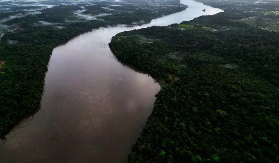 Brazil Amazon Lula 36159 c0 234 5616 3510 s1200x700.jpg