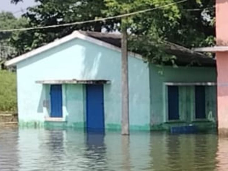सांसद तारिक अनवर बाढ़ग्रस्त बरारी पहुंचे:नाव से प्रभावित क्षेत्रों का दौरा,ग्रामीण बोले-'15 दिनों से पानी से घिरे, मवेशियों के लिए चारा नहींं'