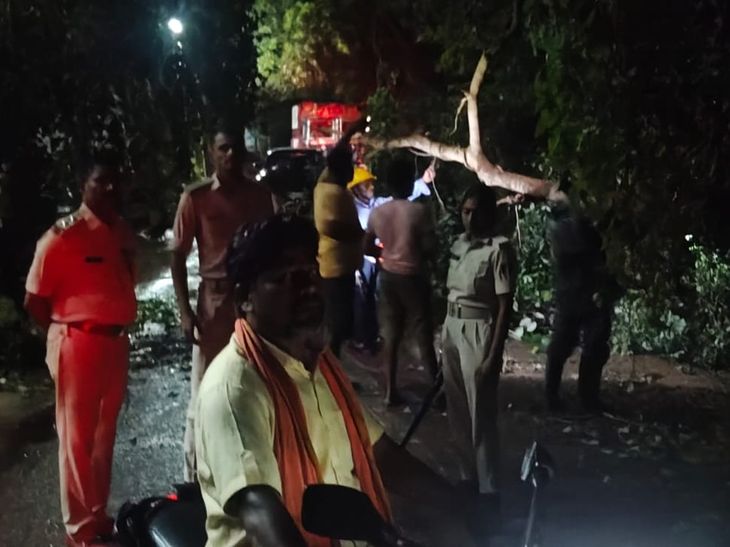 सिंहवाड़ा में गिरा विशाल पीपल का पेड़, यातायात-बिजली ठप:श्याम चौक के पास हादसा, घंटों बाधित रहा जाले-अतरबेल पथ
