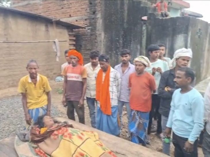 पलामू में मधुमक्खियों के हमले से महिला की मौत:जंगल में बकरी चराने गई थी, शरीर पर मिले काफी सारे डंक के गहरे निशान