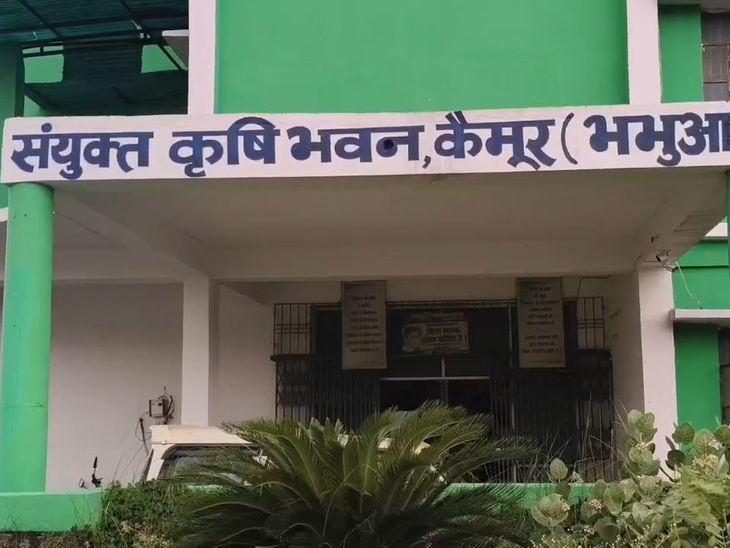 नकली खाद जब्त होने के बाद कृषि विभाग सख्त:दुकानों से यूरिया-डीएपी के नमूने लिए जा रहे, लैब रिपोर्ट पर ब्लैकलिस्ट होंगे दोषी