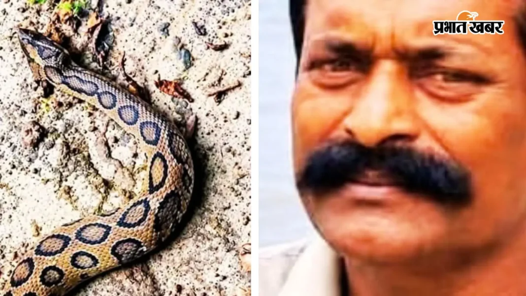 सांप को रेस्क्यू कर लौट रहे थे वाइल्ड लाइफ रेस्क्यू टीम के सदस्य मलय घोष, उसी सांप ने काटा