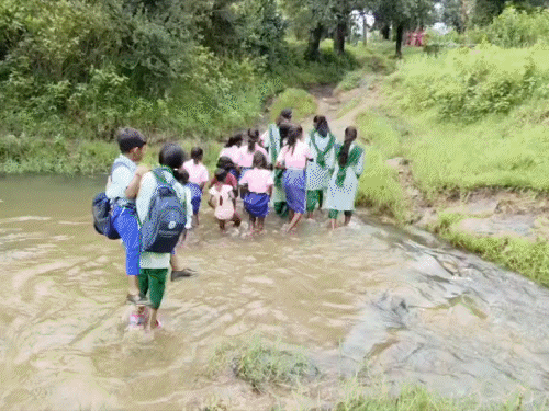 नाला-खेत पार 4 किमी दूर बच्चे जाते हैं स्कूल:जामताड़ा के रामबारी गांव को 70 साल से सड़क-पुल का इंतजार, DC बोले -CSR के भरोसे निर्माण