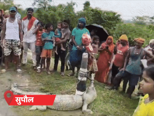 पटना समेत 14 जिलों में हैवी रेन का अलर्ट:4 सितंबर तक चेतावनी; 24 घंटे में औरंगाबाद में 145mm बारिश रिकॉर्ड