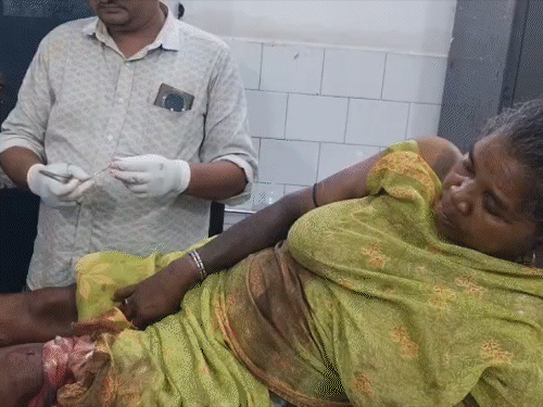 गिरिडीह में जंगली हाथी के हमले में वृद्ध की मौत:पीरटांड़ के लेडवा में दंपती पर हमला, 65 वर्षीय पत्नी गंभीर रूप से घायल