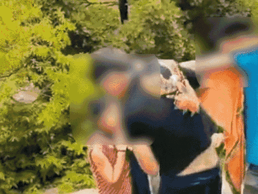 बांका छेड़खानी कांड-आरोपियों ने ₹1,500 लेकर पीड़ितों को छोड़ा:बांका-मंदार पर्वत पर 3 जून की घटना, ₹20 हजार की थी डिमांड; VIDEO वायरल