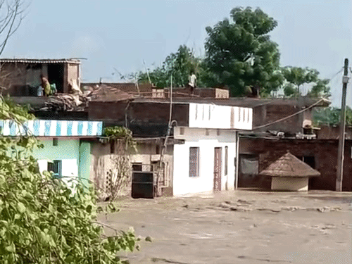 Champaran Embankment Breach | Gandak River Flood Betia NDRF Rescue