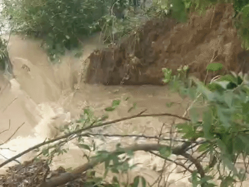 नालंदा- सरमेरा, हरनौत में बढ़ते जलस्तर से बढ़ा खतरा:अस्थावां में जिरायन नदी के टूटे तटबंध को 48 घंटे में बांधा, आधा दर्जन गांवों से खतरा टला