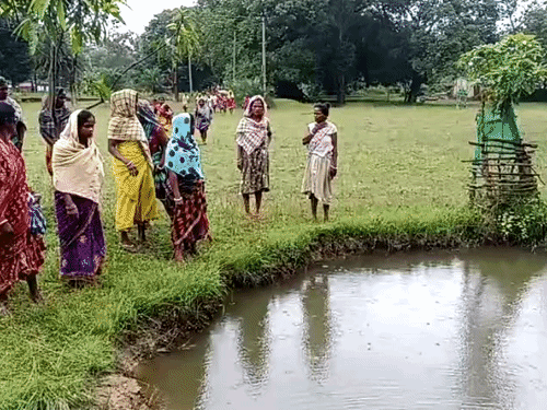 बागचट्टा में तालाब में डूबने से भाई-बहन की मौत:स्कूल से लौटकर घर के पास ही खेल रहे थे दोनों बच्चे, तालाब से मिली लाश