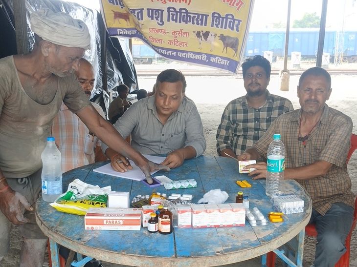 धान की फसल पर 'कंडुआ रोग' का खतरा:जिला कृषि पदाधिकारी ने जारी की एडवाइजरी, जानें लक्षण और बचाव के उपाय