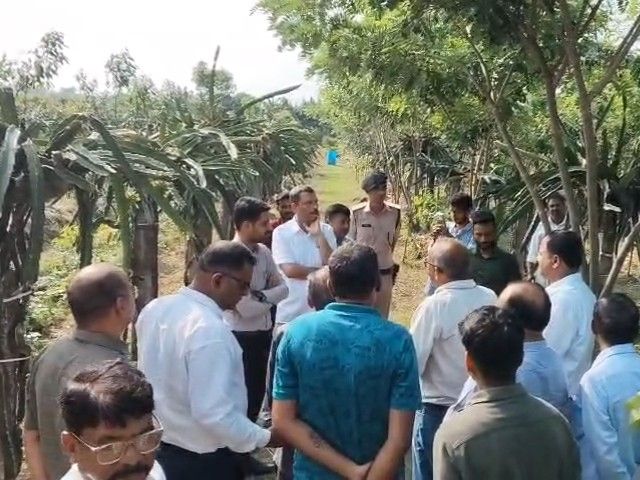 किशनगंज DM ने खेत पहुंचकर देखी ड्रैगन फ्रूट की खेती:किसानों से उत्पादन और कमाई की जानकारी ली; बोले- नई फसलों से बढ़ सकती है आमदनी