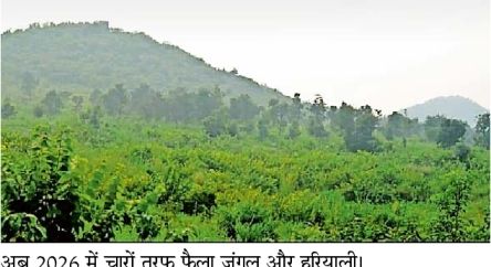 आदिवासी युवकों के जिद और मेहनत ने उजड़े पहाड़ को बनाया हरा-भरा