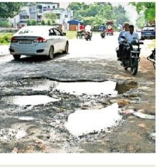 चास : सड़क पर आवारा पशु से खतरा